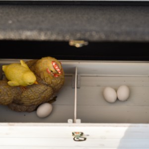 Gniazdo lęgowe kurnika Ambiance Large jest podzielone na dwie części