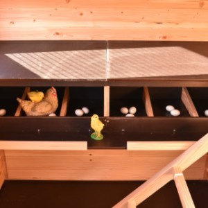 To wspaniale duże gniazdo lęgowe jest odpowiednie dla maksymalnie 6 kur jednocześnie.