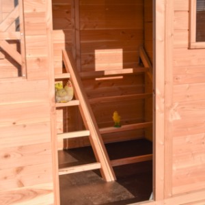 W kurniku znajdują się 2 drabinki z grzędami, każda z 4 grzędami