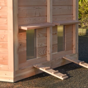 Na zewnątrz, przy klapach wyjściowych, znajdują się 2 rampy, dzięki którym kury mogą łatwo wchodzić i wychodzić.