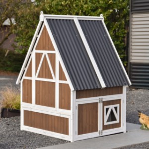 Zajrzyj na tył kurnika Pip