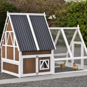 Zajrzyj na tył kurnika Pip z wybiegiem