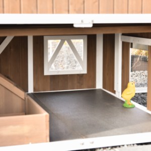 Kurczaczek zerka na zewnątrz przez klapkę wyjściową