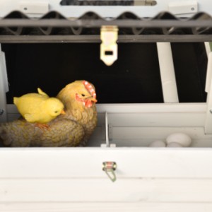 Gniazdo lęgowe Noah jest podzielone na 2 części