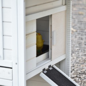 Drzwiczki schronienia nocnego można przesuwać w lewo i w prawo