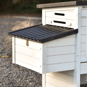 To jest gniazdo lęgowe Noah