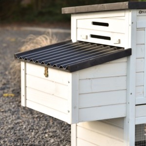 To jest gniazdo lęgowe Noah