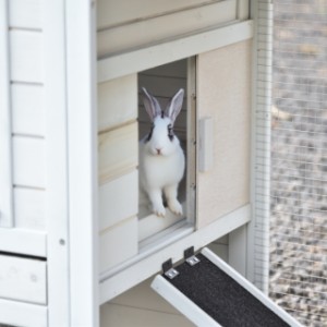 Drzwiczki schronienia nocnego można przesuwać w lewo i w prawo