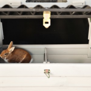 Budka lęgowa z boku Noah zapewnia większe schronienie nocne