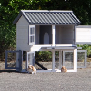 Domek dla królików Nice ma wiele drzwi