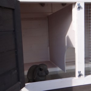 Budka dla królików Annemieke posiada nocne schronienie i wybieg