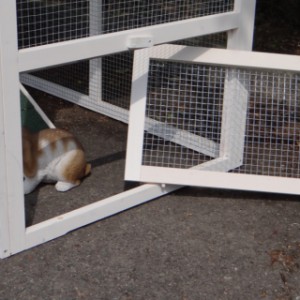 Budka dla królików Julia wyposażona jest w zdejmowany panel z siatki