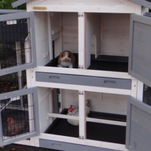 Klatka dla królików Double Small posiada 2 budki nocne dla kurczaków/królików